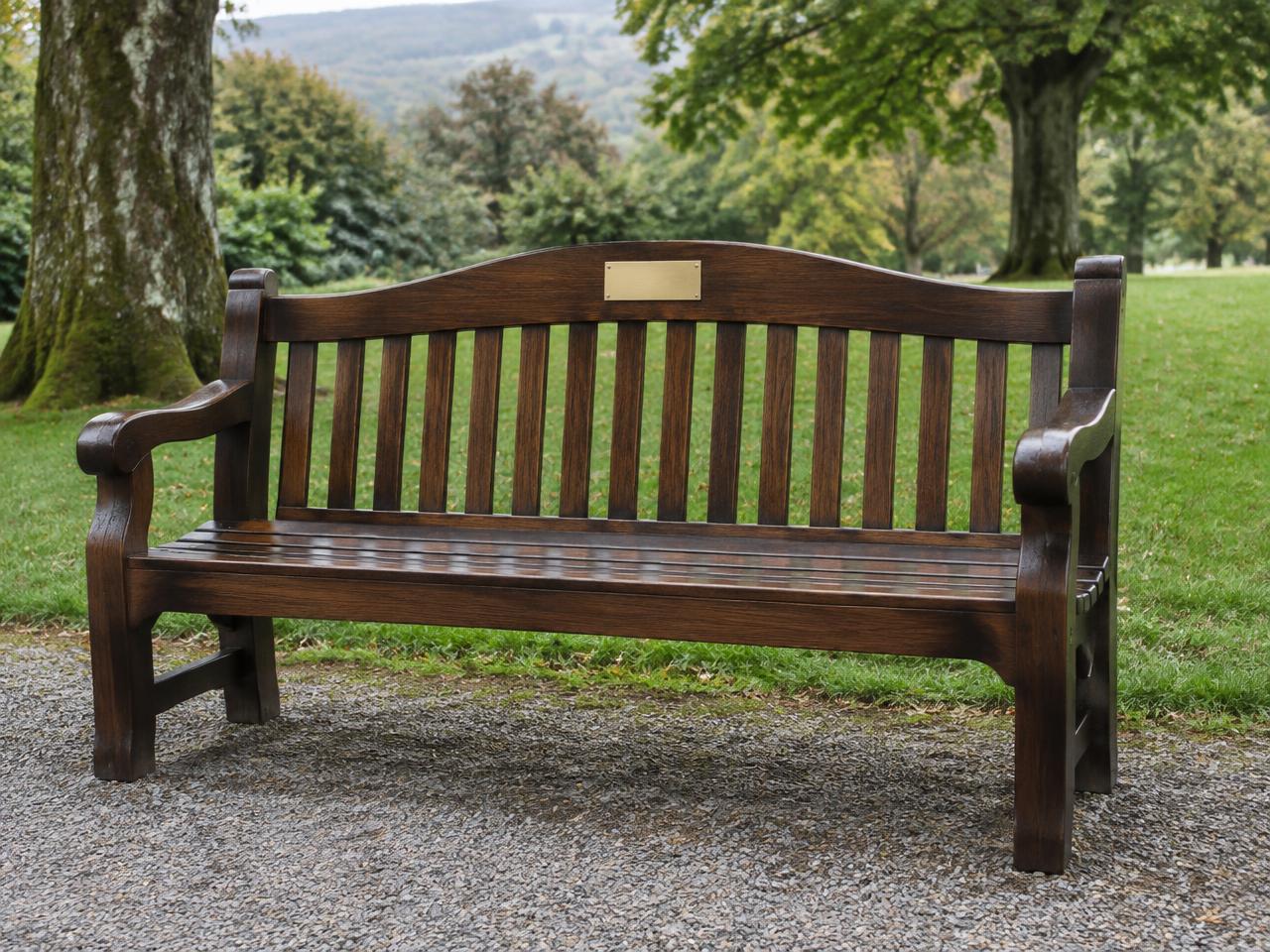 Illustrative carved hardwood memorial bench with a blank plaque in a Welsh park